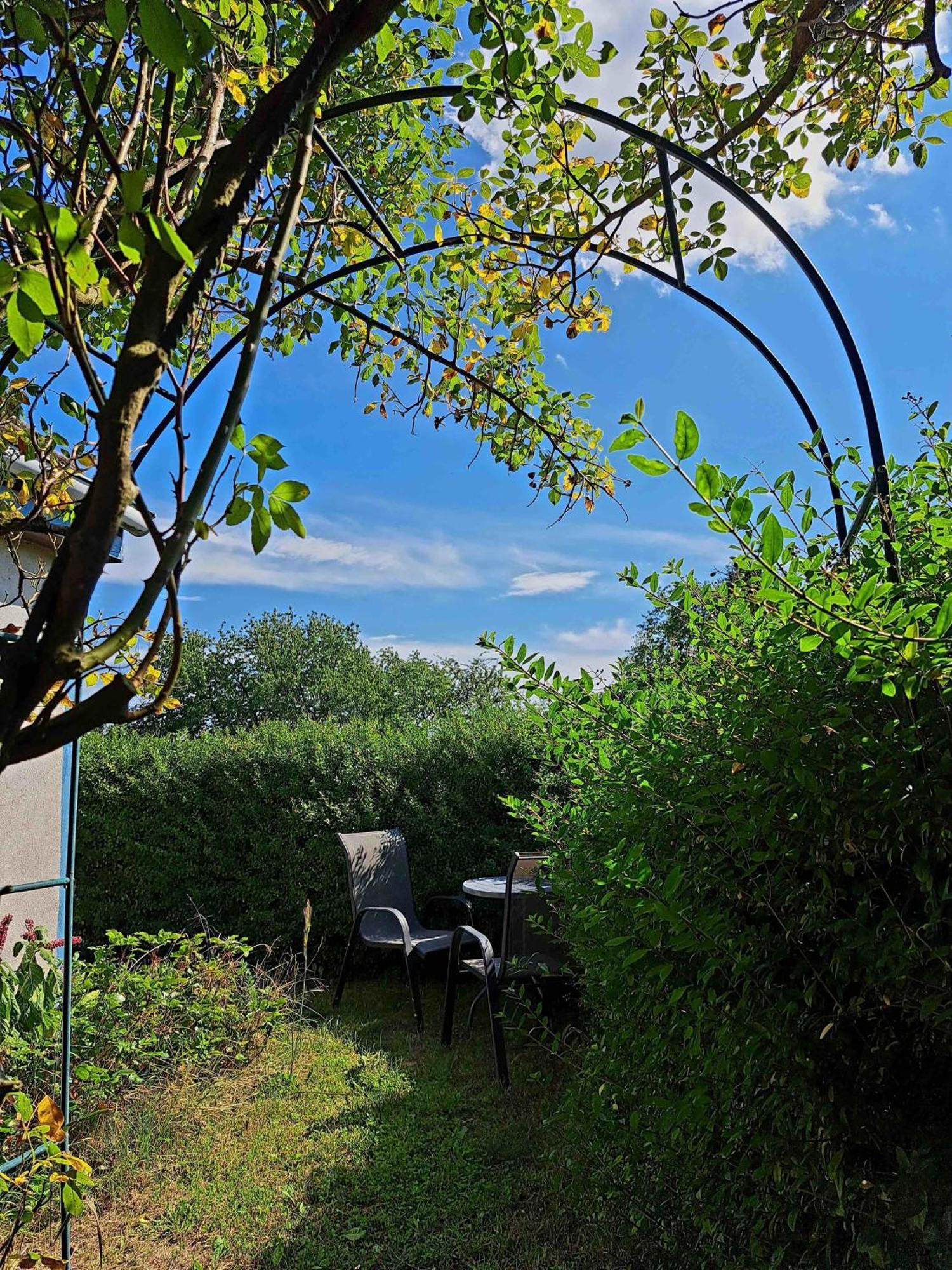 Ferienhaus Gransee Unmittelbar Am Stechlinsee - Radweg מראה חיצוני תמונה